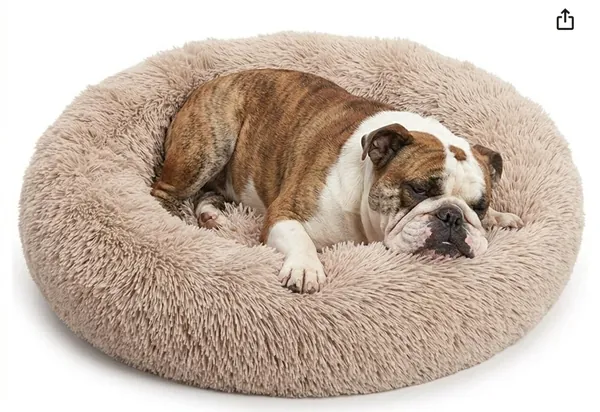 English Bulldog resting in Bedfolks Calming Donut Dog Bed beige plush