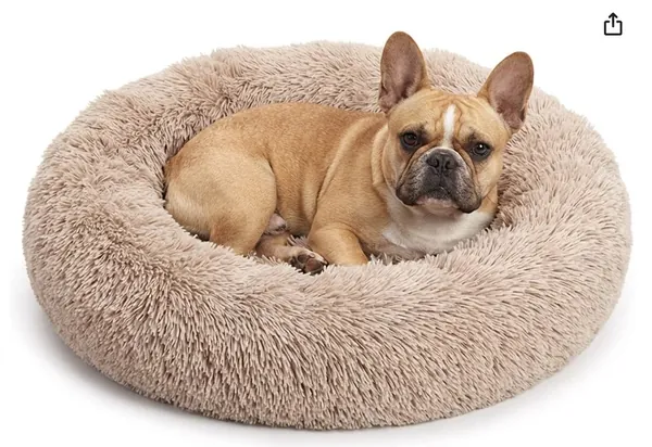 French Bulldog sitting in Bedfolks Calming Donut Dog Bed